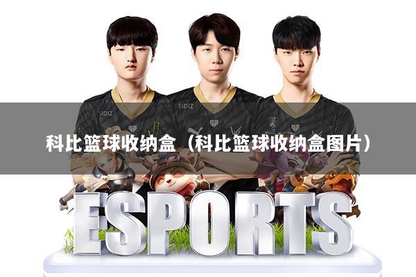 科比篮球收纳盒（科比篮球收纳盒图片）